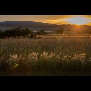 Meet your Posher, Forrest